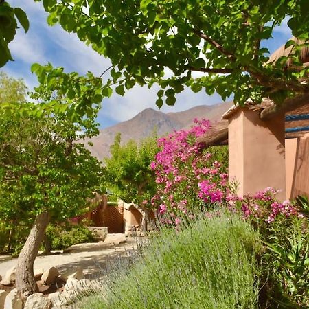 לינה וארוחת בוקר פיסקו אלקי Refugio Misterios Del Elqui מראה חיצוני תמונה