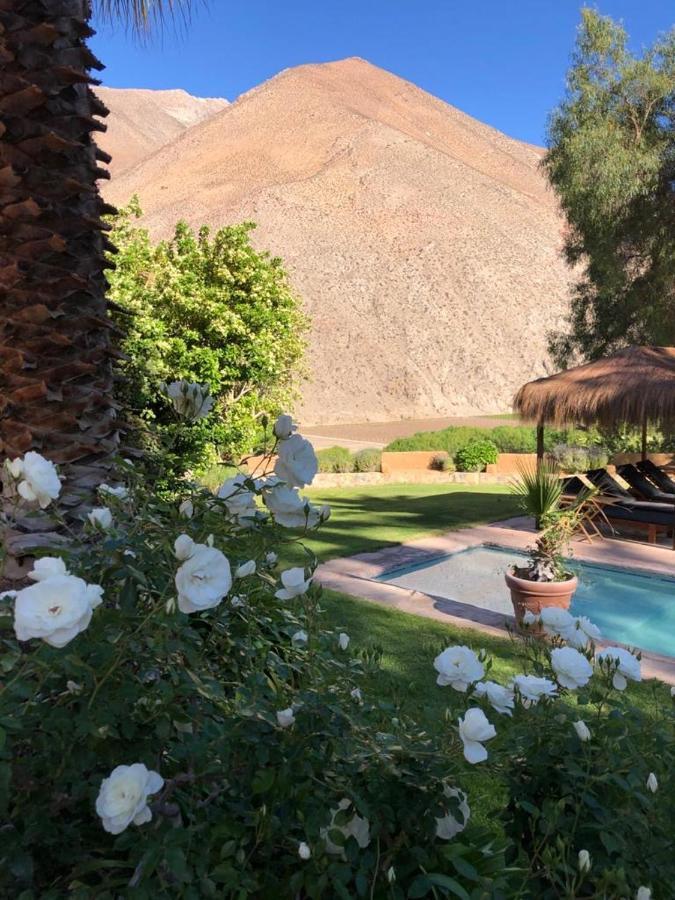 לינה וארוחת בוקר פיסקו אלקי Refugio Misterios Del Elqui מראה חיצוני תמונה
