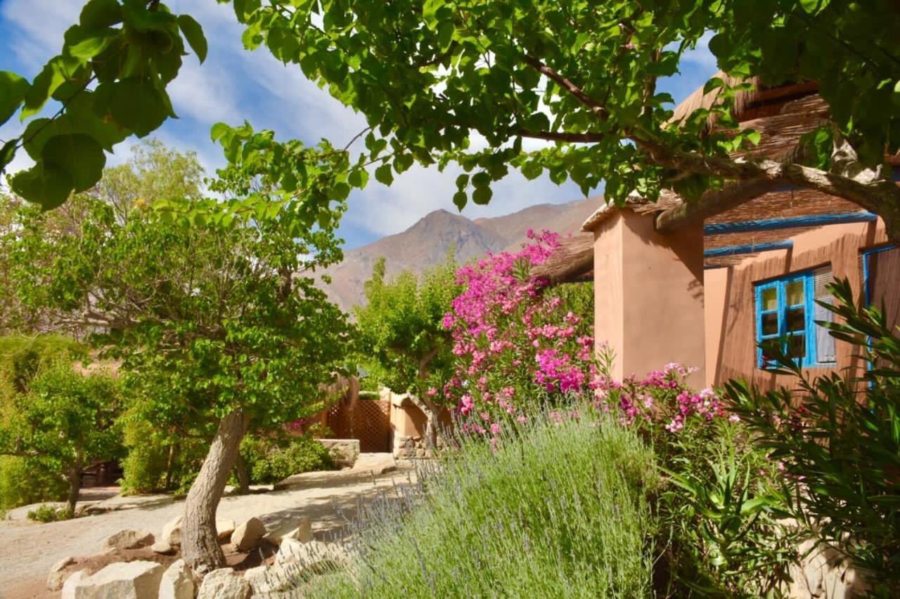 לינה וארוחת בוקר פיסקו אלקי Refugio Misterios Del Elqui מראה חיצוני תמונה