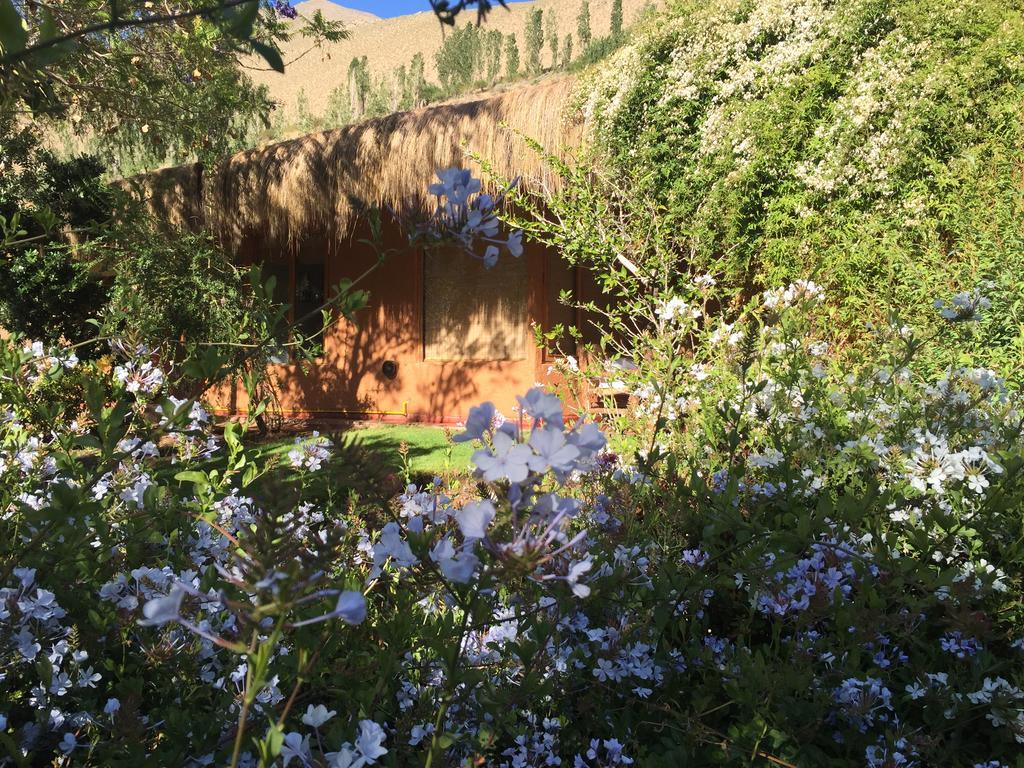 לינה וארוחת בוקר פיסקו אלקי Refugio Misterios Del Elqui מראה חיצוני תמונה
