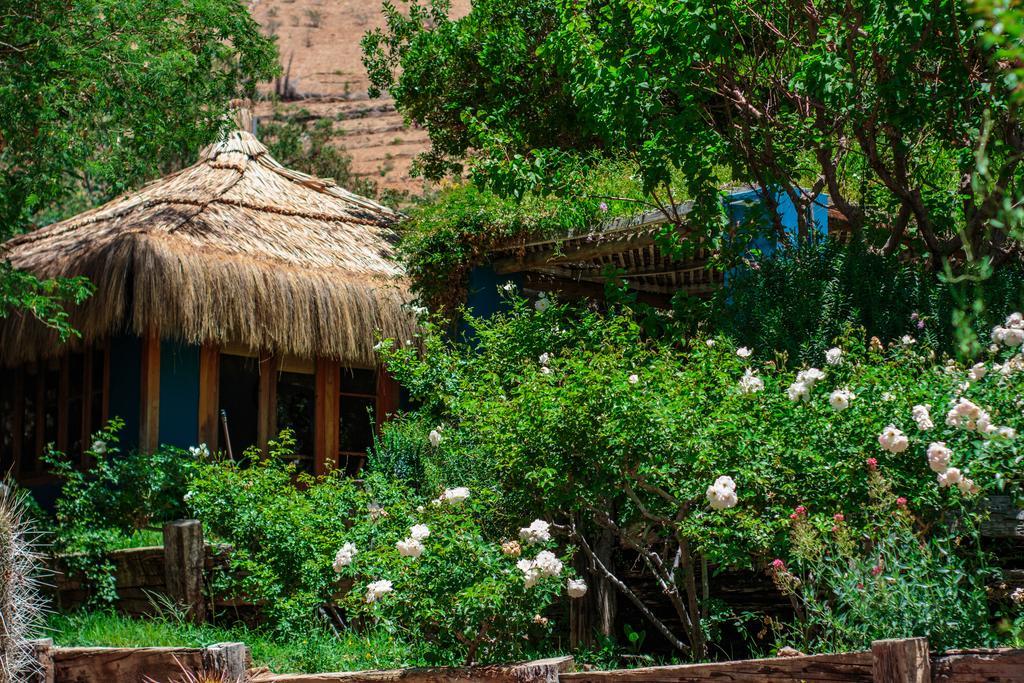 לינה וארוחת בוקר פיסקו אלקי Refugio Misterios Del Elqui מראה חיצוני תמונה