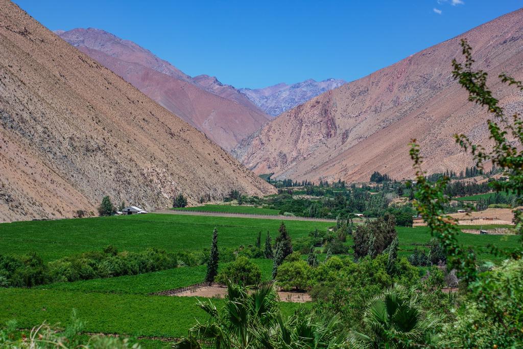 לינה וארוחת בוקר פיסקו אלקי Refugio Misterios Del Elqui מראה חיצוני תמונה